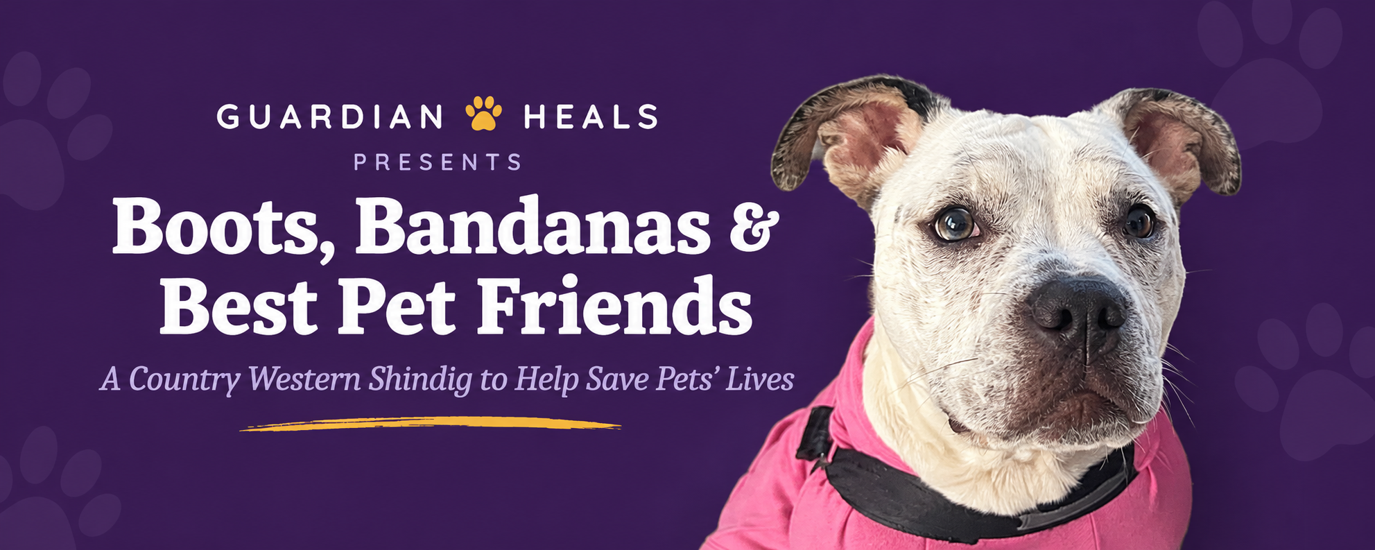 Boots, Bandanas & Best Pet Friends fundraiser banner